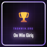 On Win platformuna güvenli giriş yapmak için kullanılan bir dizüstü bilgisayar ekranı.