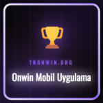 Onwin mobil uygulama arayüzü ve akıllı telefonda bahis kuponu.