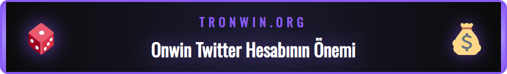 Onwin Twitter hesabının ne işe yaradığını gösteren infografik